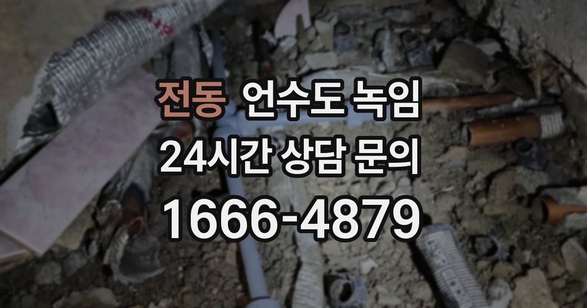 전동 언수도 녹임