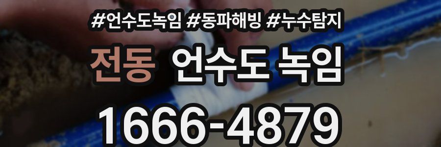 전동 언수도 녹임