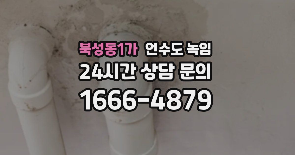 북성동1가 언수도 녹임