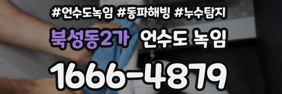 북성동2가 언수도 녹임