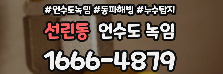 선린동 언수도 녹임