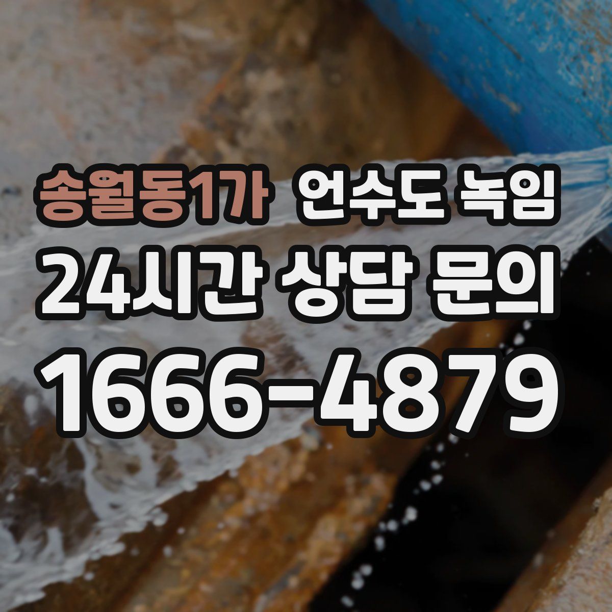 송월동1가 언수도 녹임