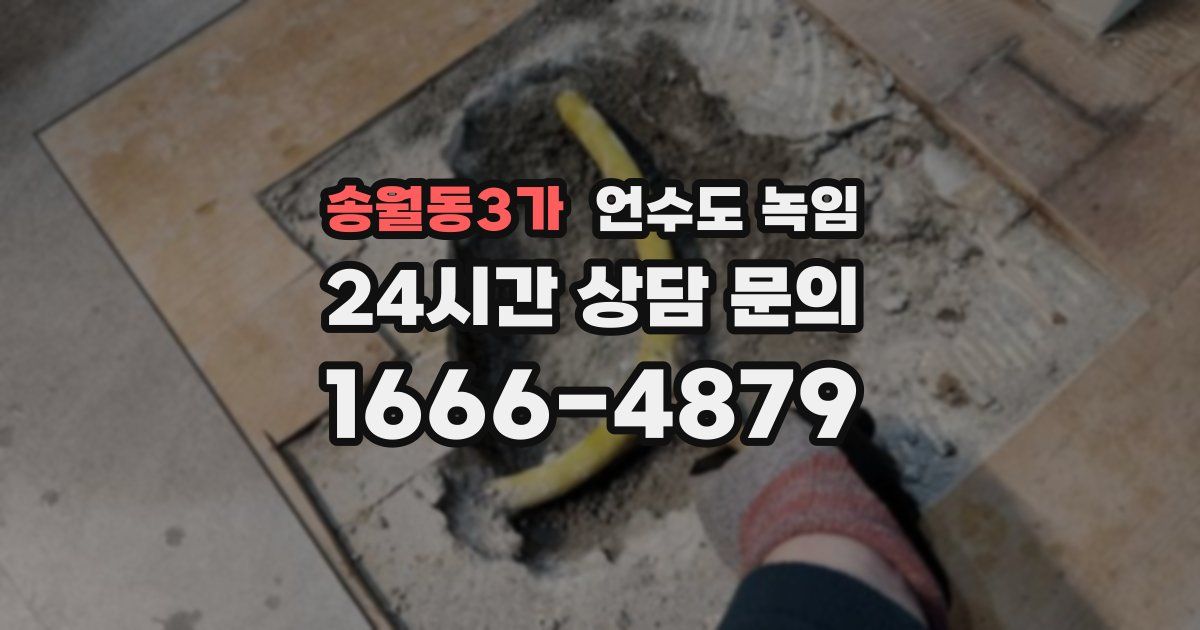 송월동3가 언수도 녹임