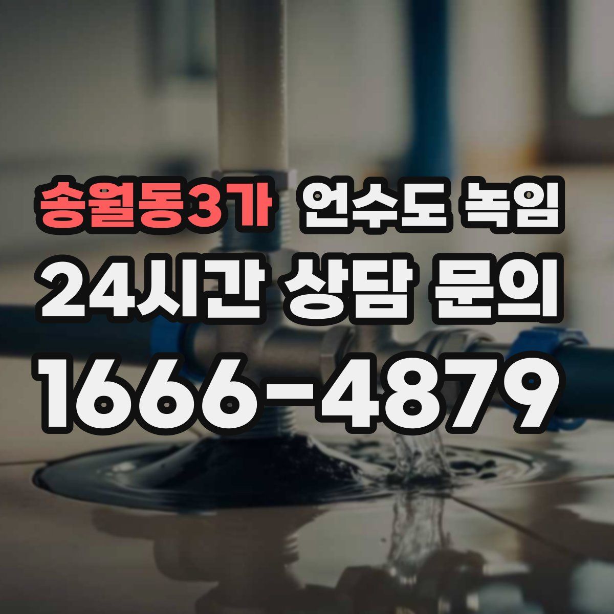 송월동3가 언수도 녹임