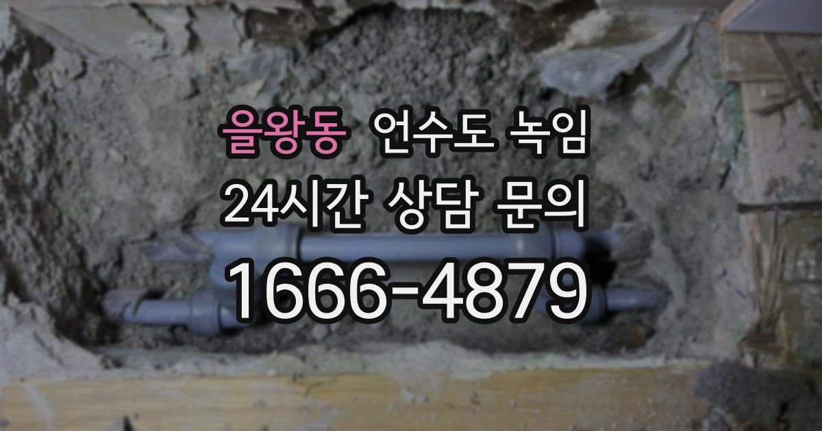 을왕동 언수도 녹임