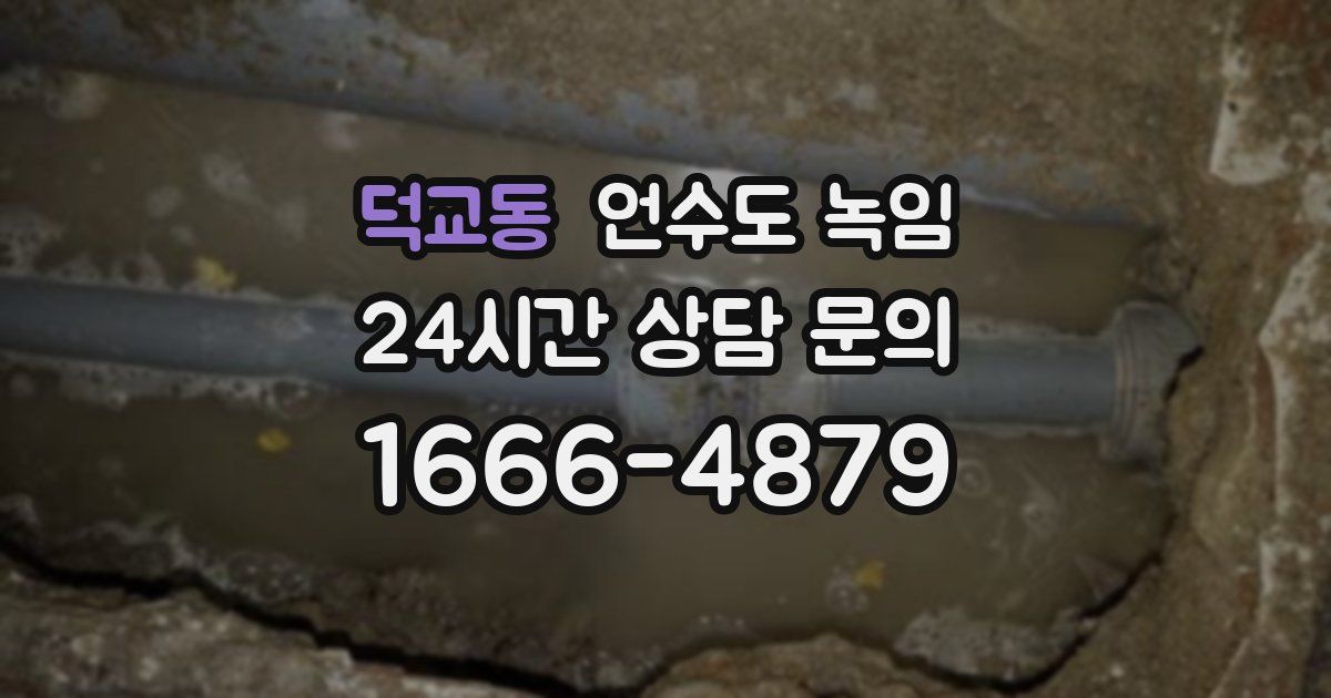 덕교동 언수도 녹임