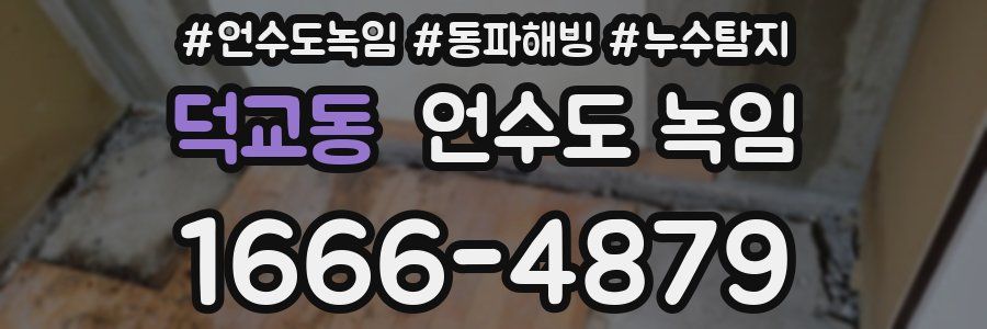 덕교동 언수도 녹임