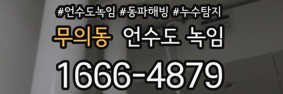 무의동 언수도 녹임