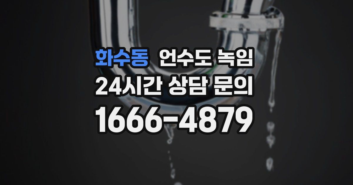 화수동 언수도 녹임