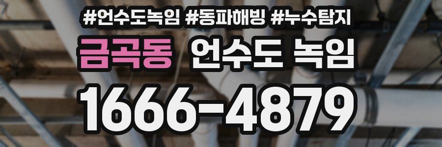 금곡동 언수도 녹임