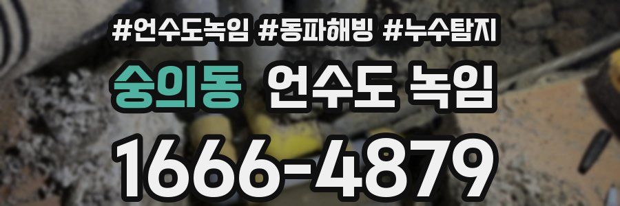 숭의동 언수도 녹임