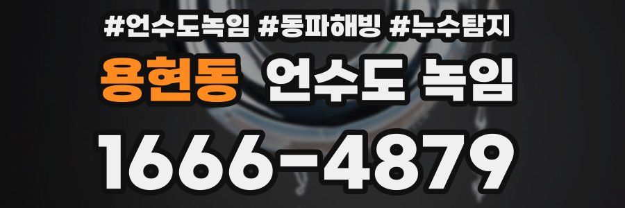 용현동 언수도 녹임