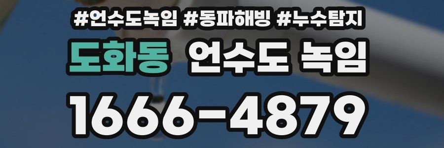 도화동 언수도 녹임