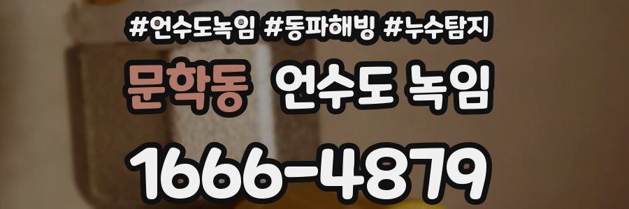 문학동 언수도 녹임