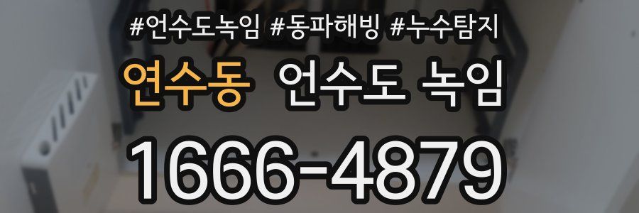 연수동 언수도 녹임