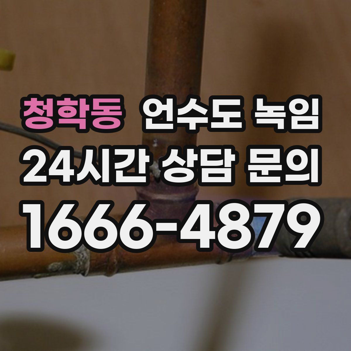 청학동 언수도 녹임