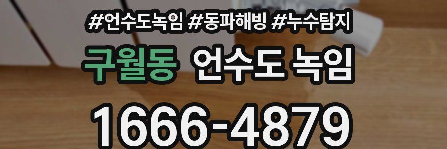 구월동 언수도 녹임