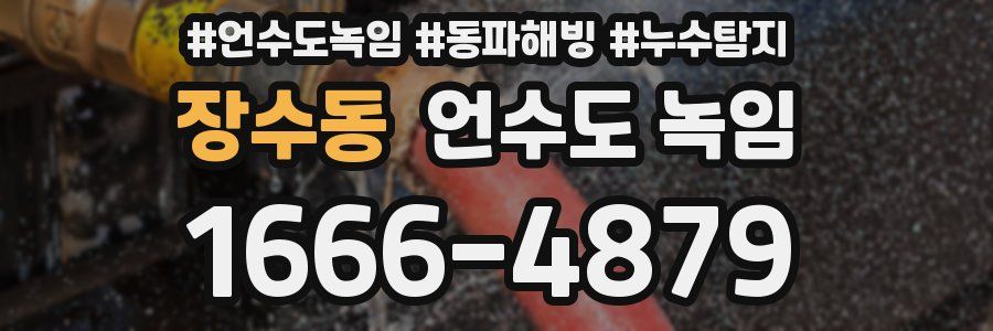 장수동 언수도 녹임