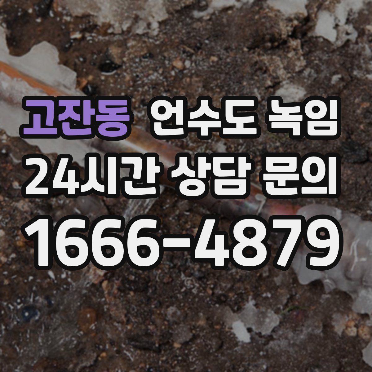 고잔동 언수도 녹임