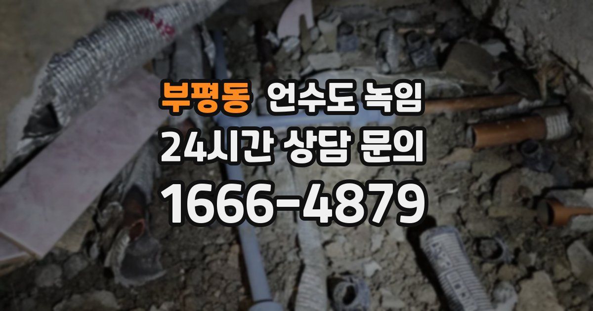 부평동 언수도 녹임