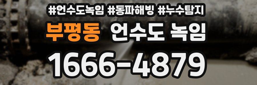 부평동 언수도 녹임