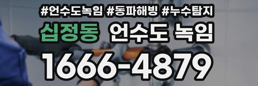 십정동 언수도 녹임