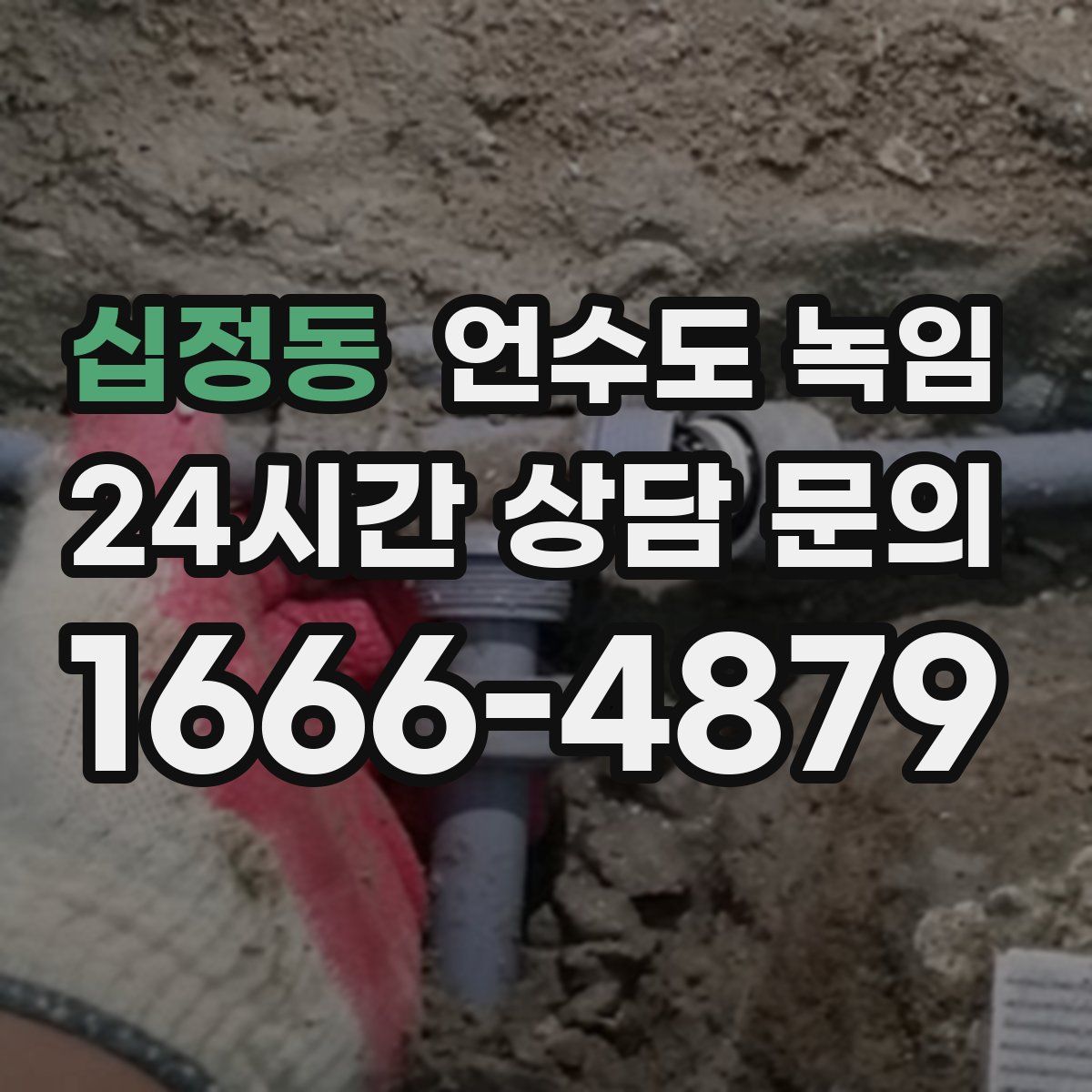 십정동 언수도 녹임