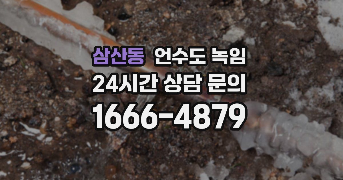 삼산동 언수도 녹임