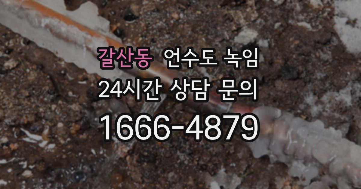 갈산동 언수도 녹임