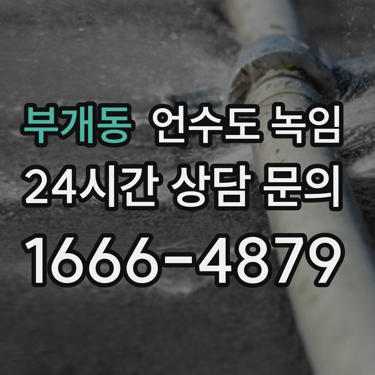 부개동 언수도 녹임