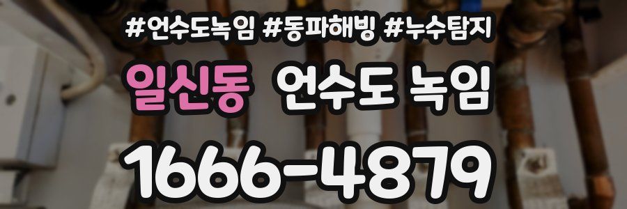 일신동 언수도 녹임