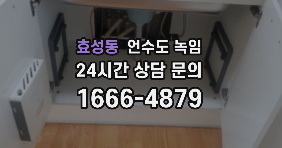 효성동 언수도 녹임