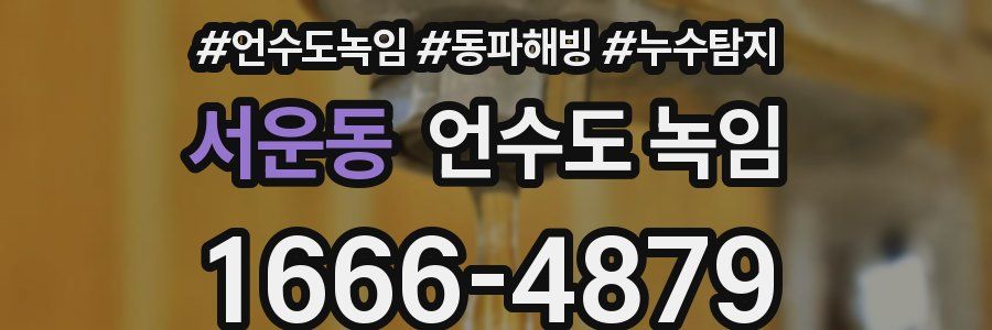 서운동 언수도 녹임