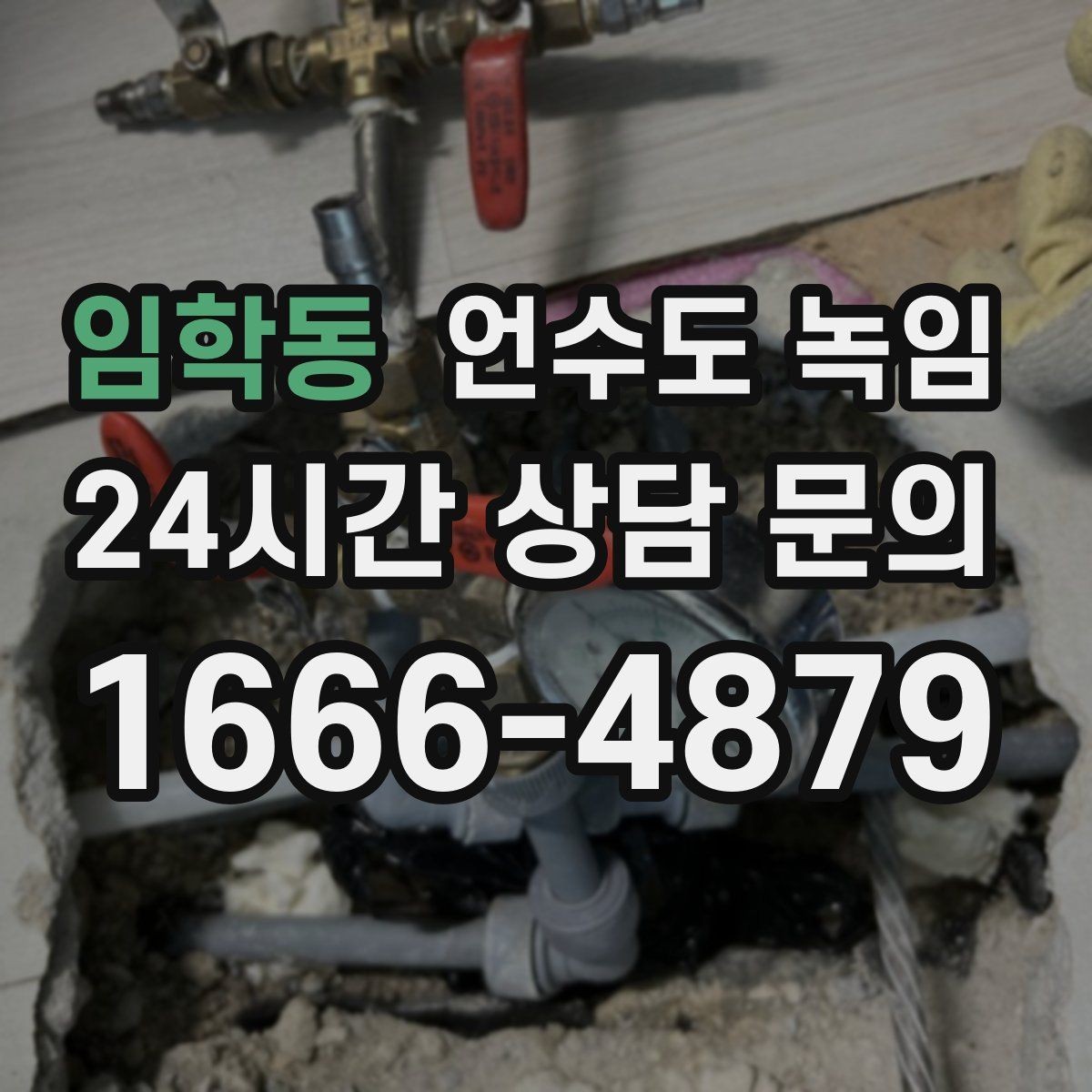 임학동 언수도 녹임 공실 빈집에서 동파가 더 잦은 이유