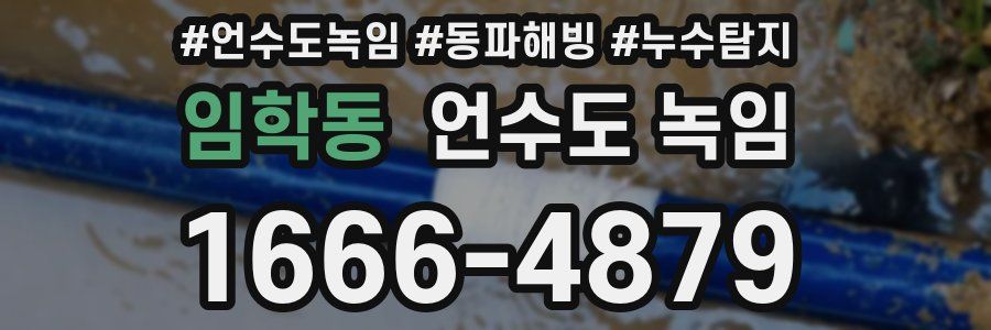 임학동 언수도 녹임