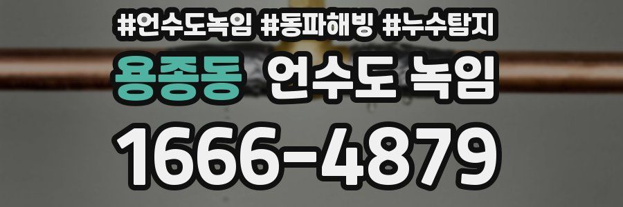 용종동 언수도 녹임