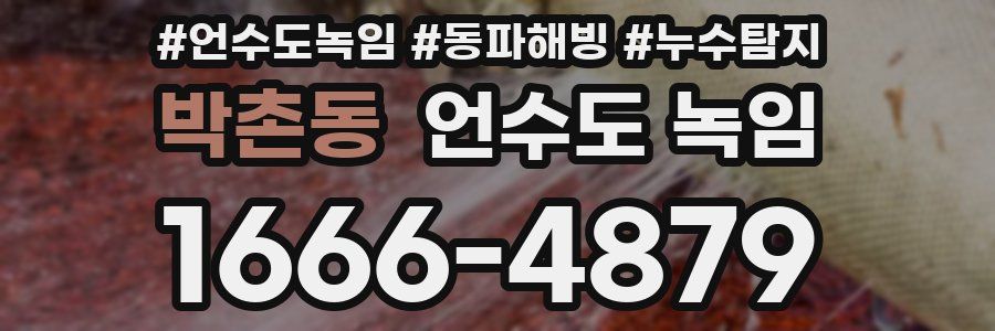 박촌동 언수도 녹임