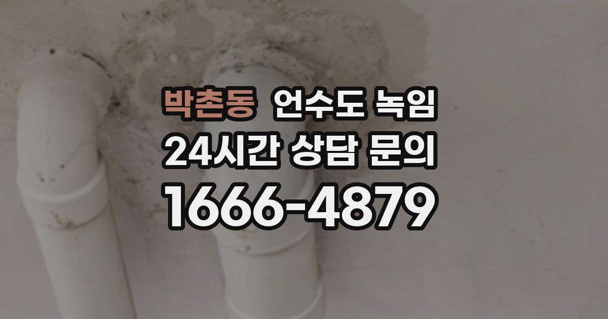 박촌동 언수도 녹임