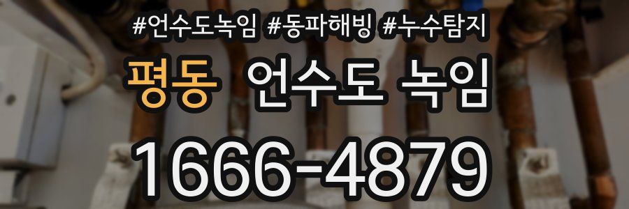 평동 언수도 녹임