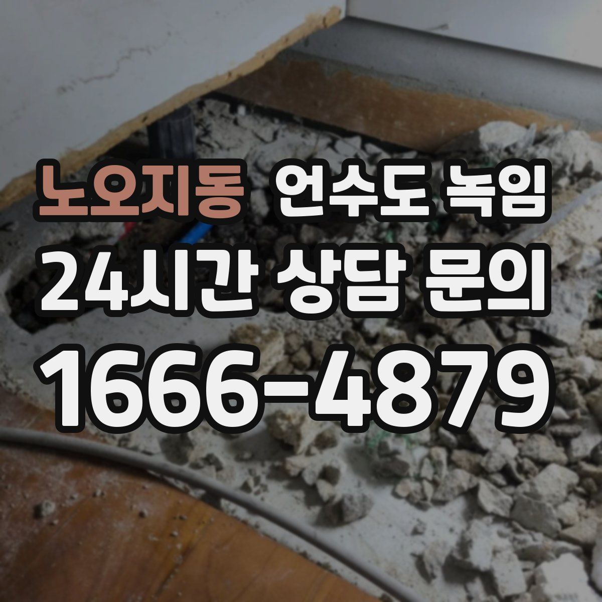 노오지동 언수도 녹임