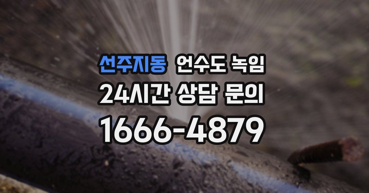 선주지동 언수도 녹임