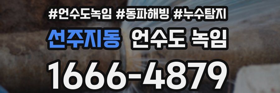 선주지동 언수도 녹임