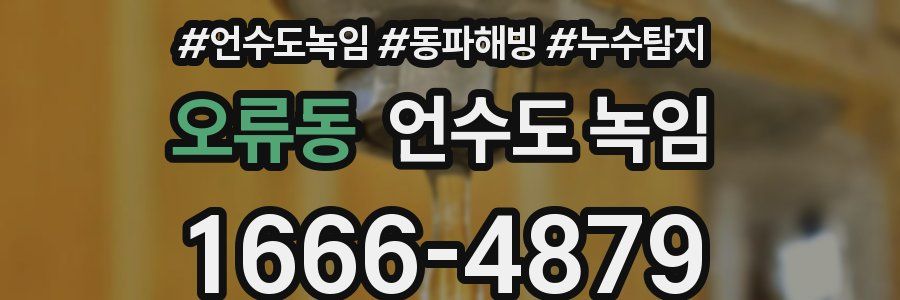 오류동 언수도 녹임