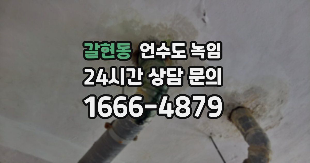 갈현동 언수도 녹임