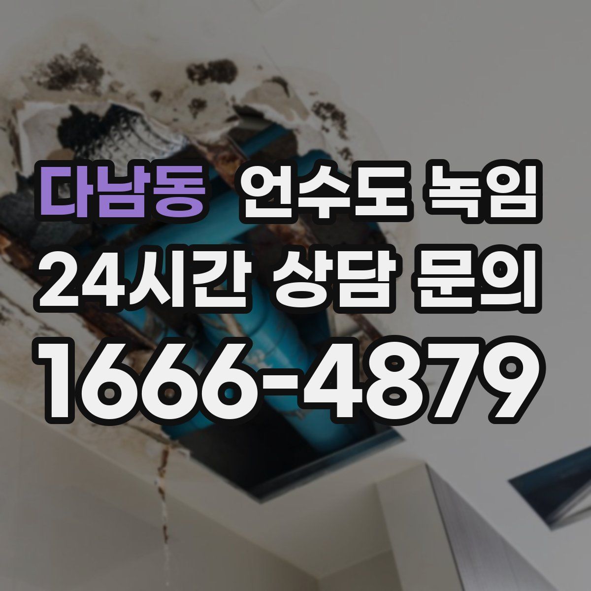 다남동 언수도 녹임