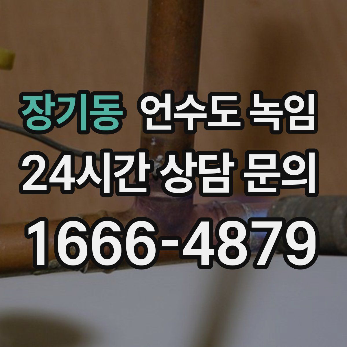 장기동 언수도 녹임