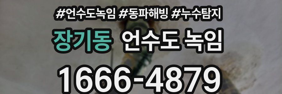 장기동 언수도 녹임