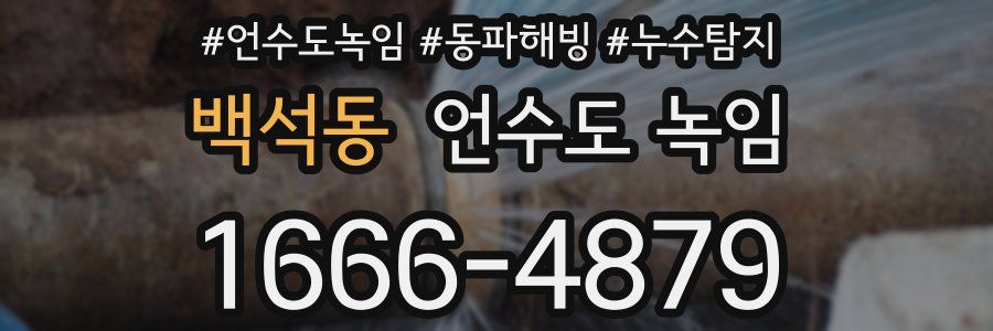 백석동 언수도 녹임