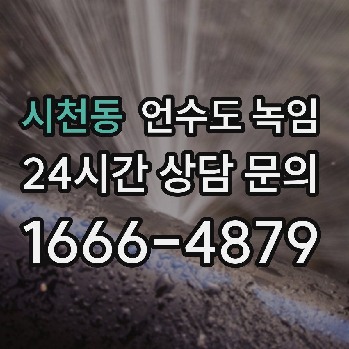 시천동 언수도 녹임