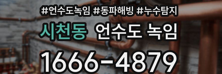 시천동 언수도 녹임